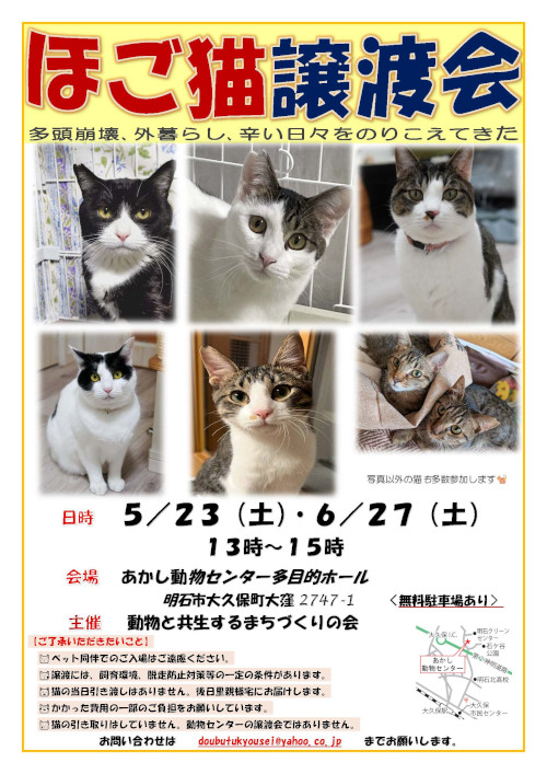 譲渡会5月6月