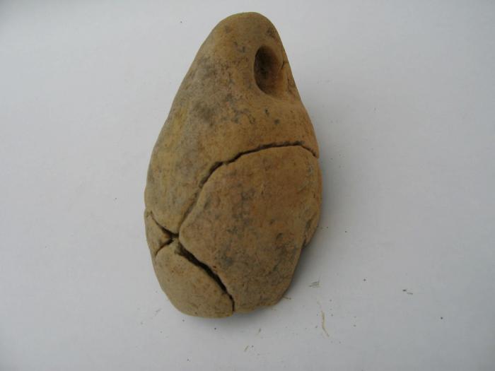 上の丸貝塚から発掘されたタコつぼ