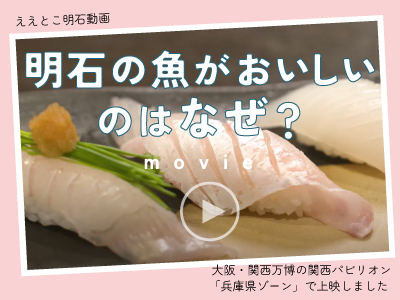 明石の魚は何故美味しいのか