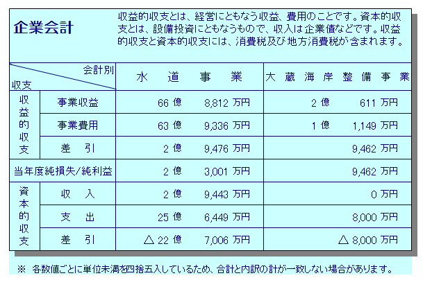 平成24年度決算_企業会計