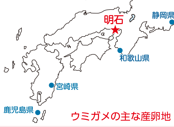 ウミガメの主な産卵地
