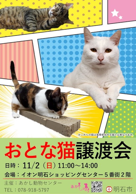 otonanekoaeon