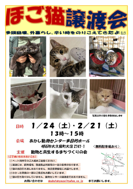 譲渡会お知らせ