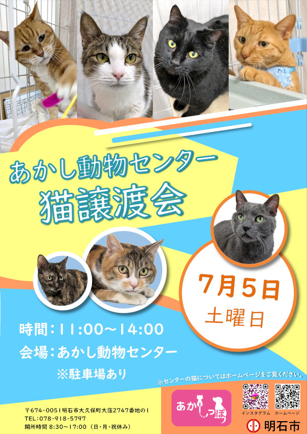 譲渡会