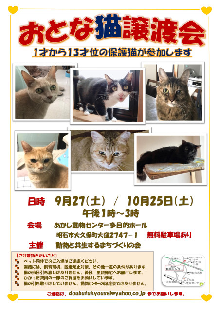 otonanekojyoudokaileaflet