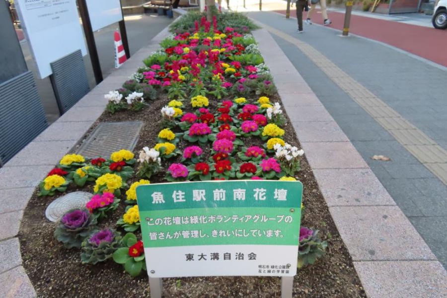 花壇