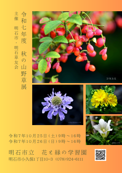 2025秋の山野草展