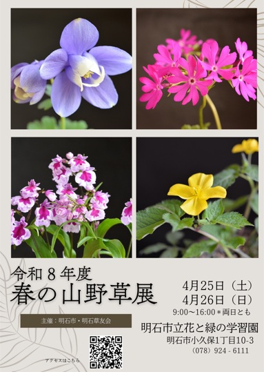 春の山野草2026