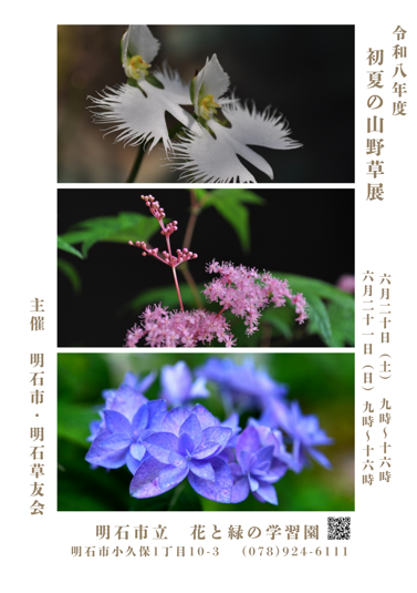 初夏の山野草2026