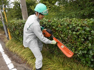 2017ryokukakouenka3.jpg