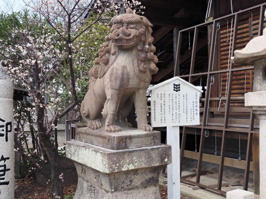 sekizoukomainuun