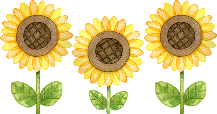 ひまわり