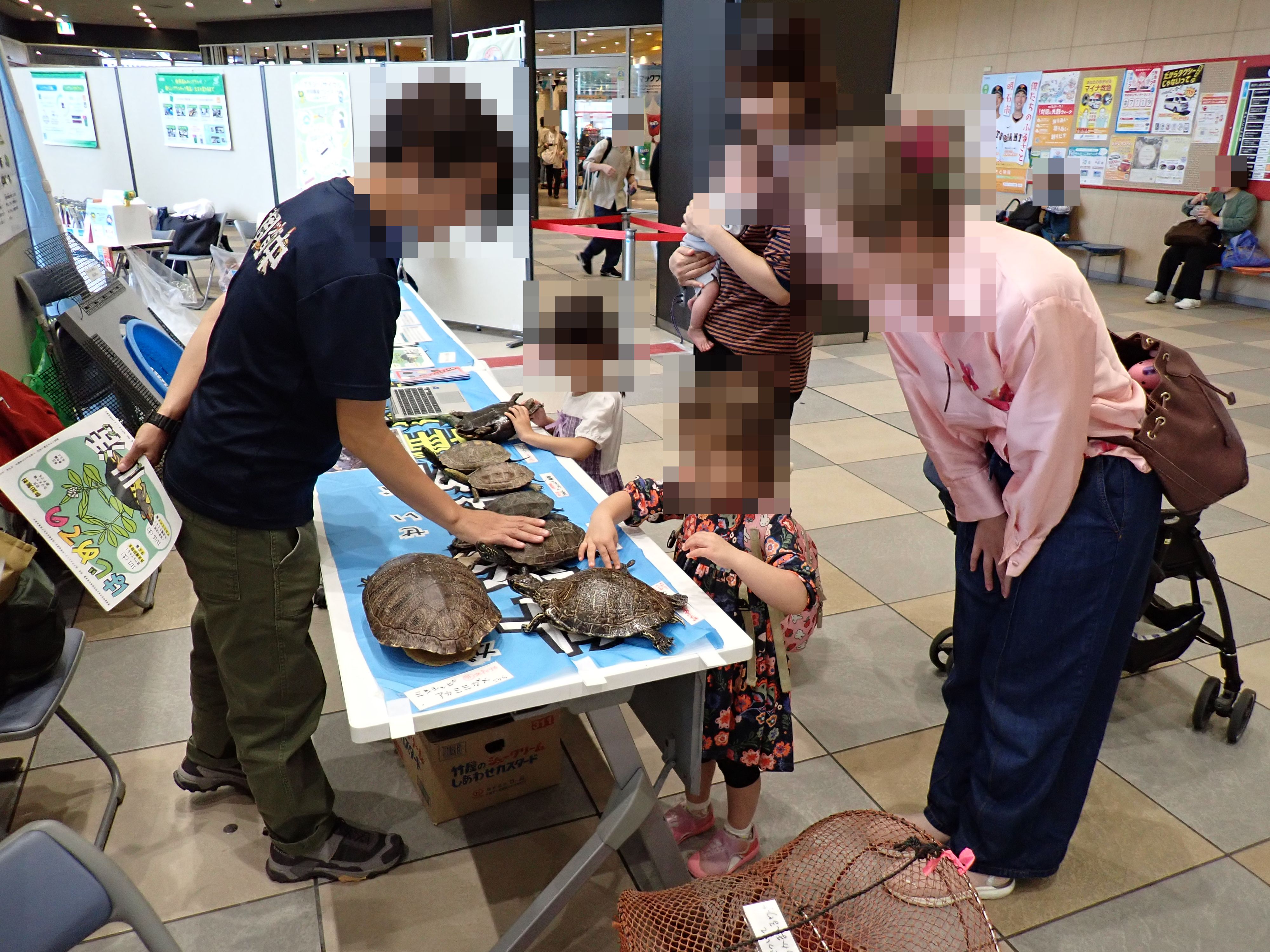 みんなで知って考えよう外来生物問題