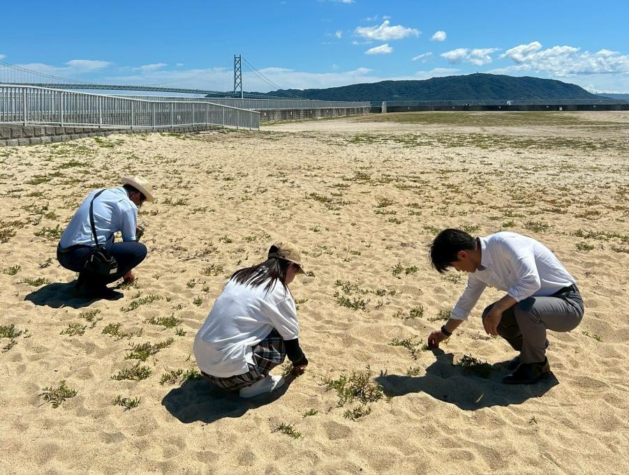 インターンシップ(市民の会)