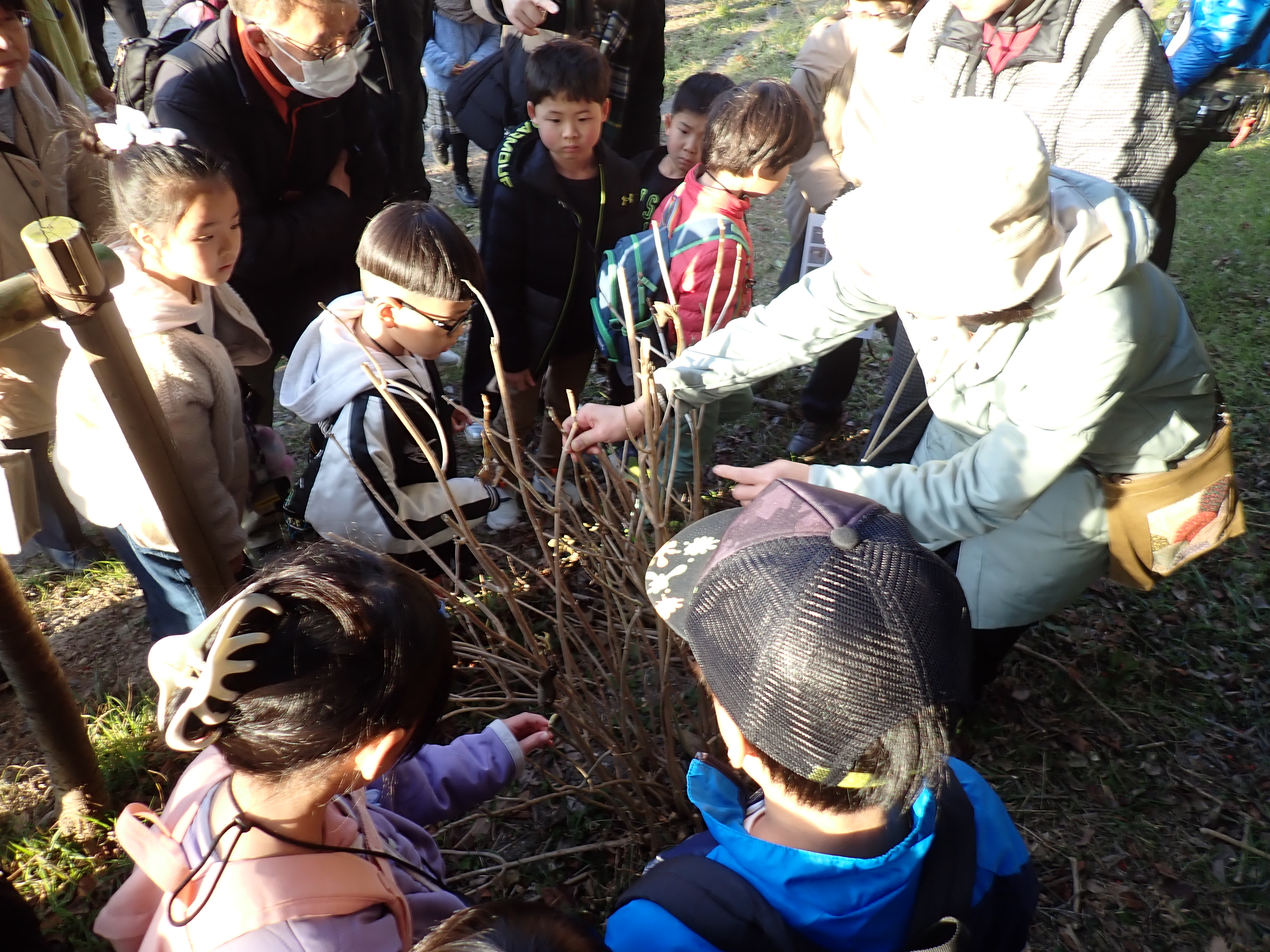 明石公園の探索(2)