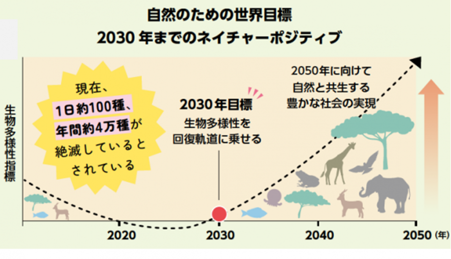 ネイチャーポジティブイラスト