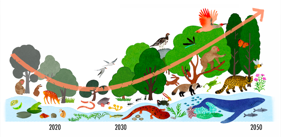 ネイチャーポジティブ（環境省）