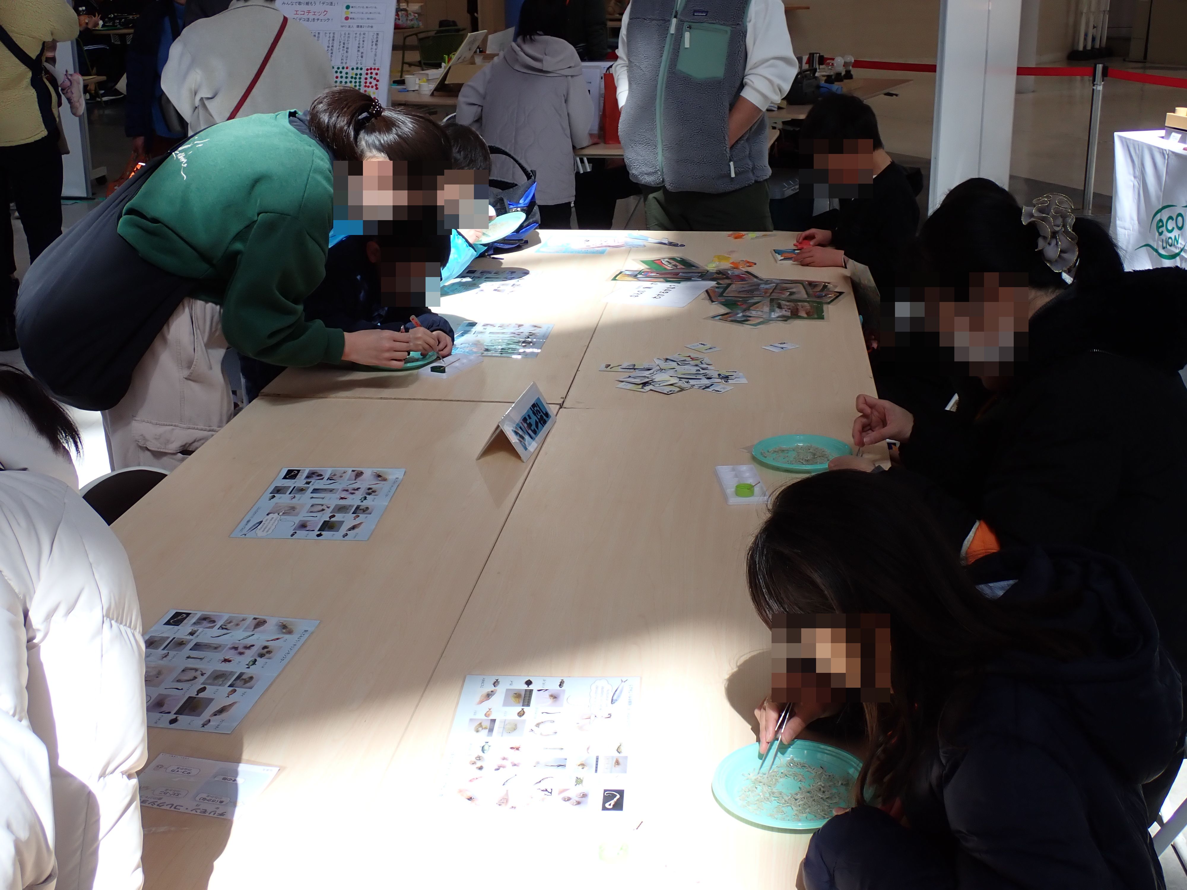 海の生き物あそび