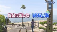 特集No.1258「安全に楽しむ　明石の海」