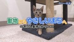 特集No.1284 「動物にもやさしいまちへ～あかし動物センター～」