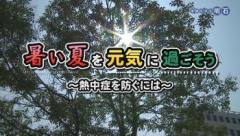 特集No.1304「暑い夏を元気に過ごそう！～熱中症を防ぐには～」