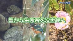 特集No.1322 「豊かな生態系を次世代へ」