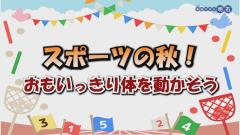 特集No.1337「スポーツの秋！　おもいっきり体を動かそう」