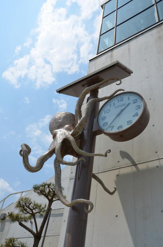 大蔵海岸のタコの時計